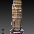 竹化石