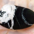 雪莲花