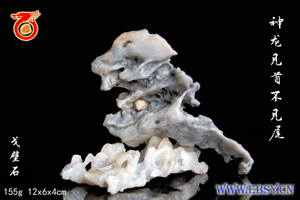 神龙见首不见尾