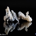 白龙戏水