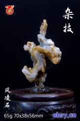 杂技