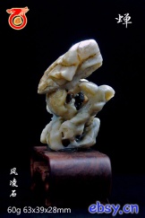 蝉