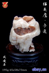 猫头鹰