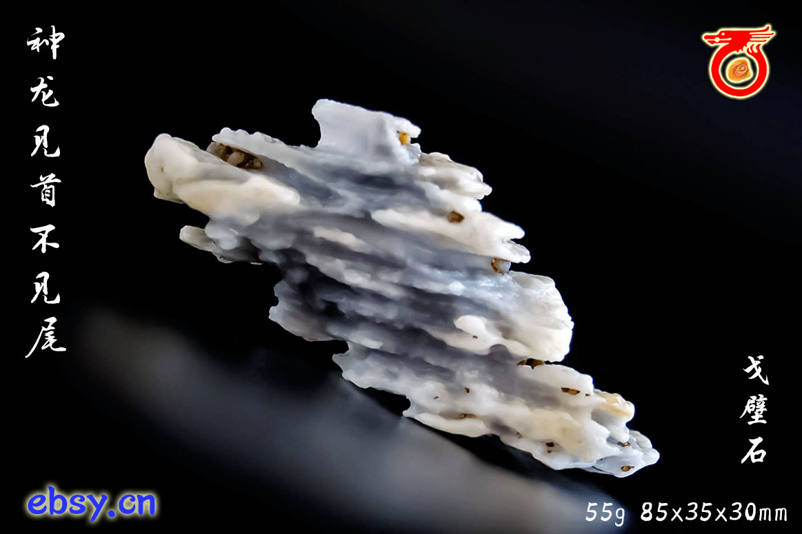 神龙见首不见尾